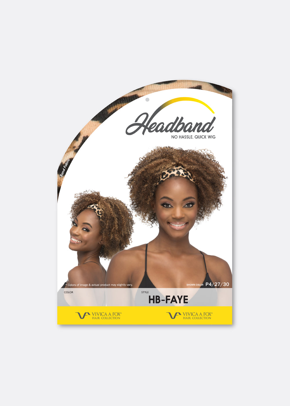 HB-FAYE image 3